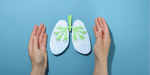 Breathe Easy: A Guide to Respiratory Health